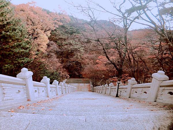 ［韓國大邱 遊記］桐華寺 八公山 幸運 鳳凰蛋 安地郎 烤腸