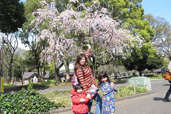 IMG_9190.JPG IMG_9190.JPG