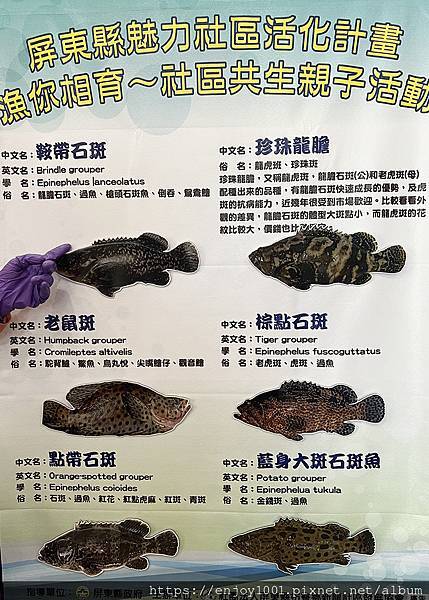 【屏東．枋寮】龍膽石斑魚的故鄉—新龍社區一日漁村旅遊