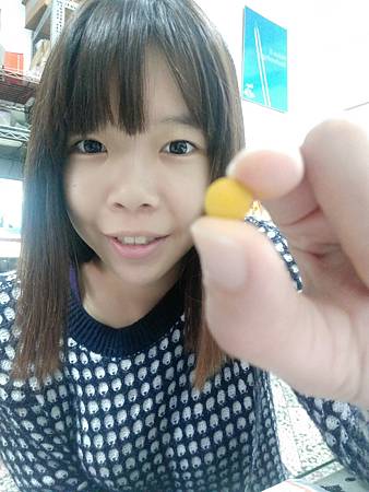 20161229_161229_0010.jpg 試用