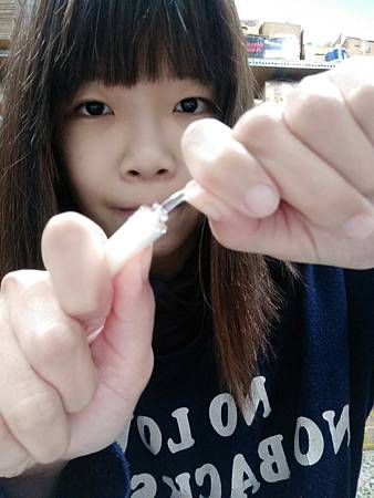20170308_170308_0009.jpg 試用