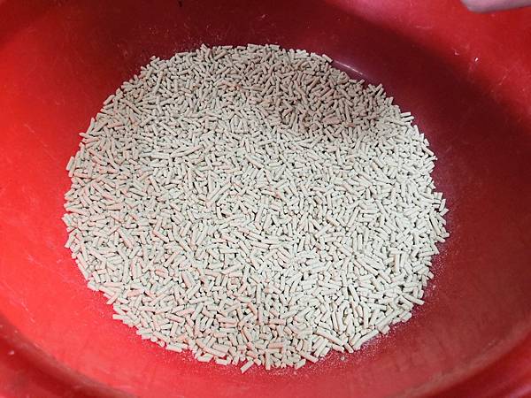 20181022_181023_0011.jpg 試用