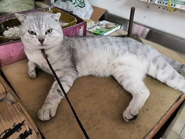 20181022_181023_0006.jpg 試用