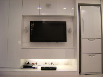 TV and fridge_大小 .JPG