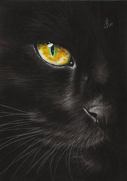 black_cat_eye_by_Drehli.jpg