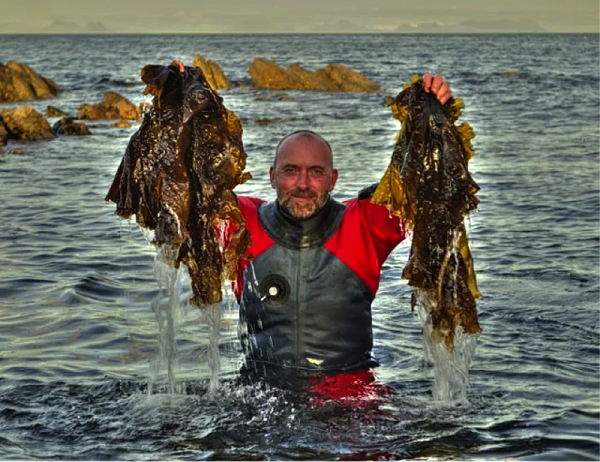 CN036 海帶拳.png CN036 海帶拳.png