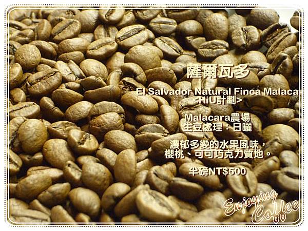 薩爾瓦多 El Salvador Natural Finca Malacara HiU計劃