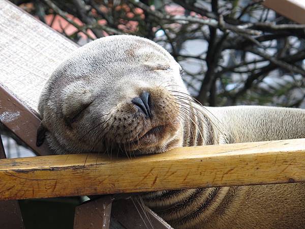 203191986 拷貝.jpg 203191986 拷貝.jpg