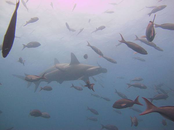 IMG_2448 拷貝.jpg IMG_2448 拷貝.jpg