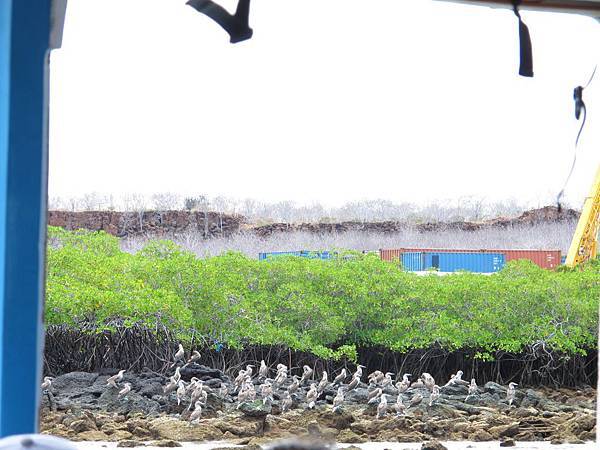 IMG_6731.jpg IMG_6731.jpg