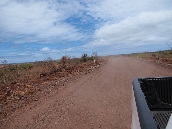 IMG_6739.jpg IMG_6739.jpg