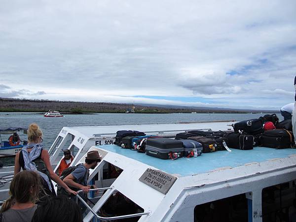 IMG_6727.jpg IMG_6727.jpg