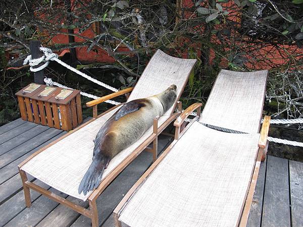 IMG_6750.jpg IMG_6750.jpg