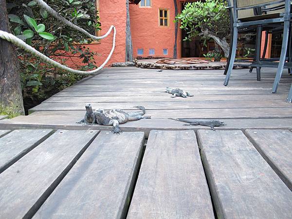 IMG_6761.jpg IMG_6761.jpg