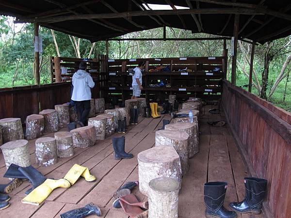 IMG_6779.jpg IMG_6779.jpg