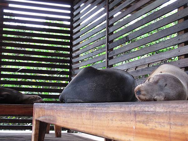 IMG_6768.jpg IMG_6768.jpg