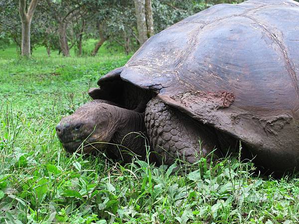 IMG_6786.jpg IMG_6786.jpg