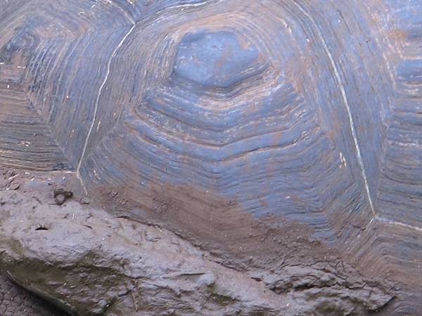 IMG_6790.jpg IMG_6790.jpg