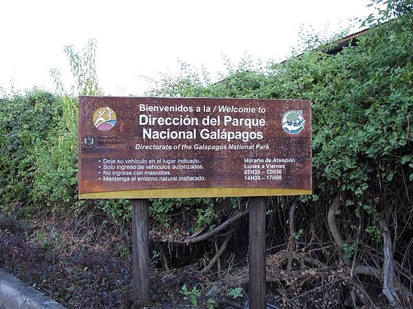 IMG_6800.jpg IMG_6800.jpg