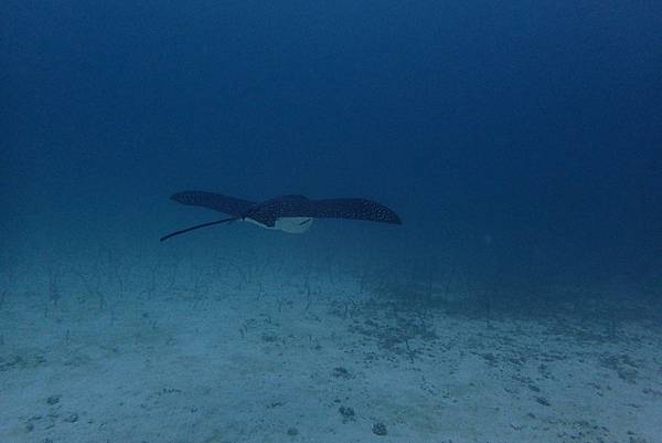 PA050224.jpg PA050224.jpg