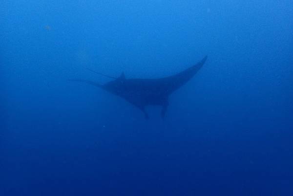 PA060240.jpg PA060240.jpg