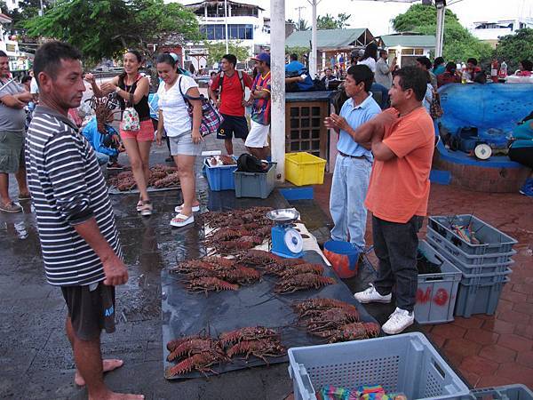 IMG_7089.jpg IMG_7089.jpg