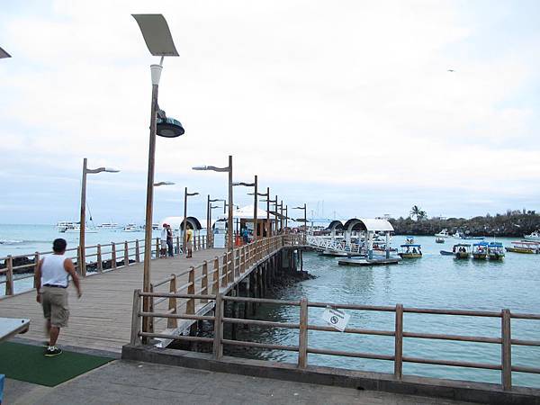 IMG_7085.jpg IMG_7085.jpg