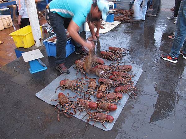 IMG_7098.jpg IMG_7098.jpg