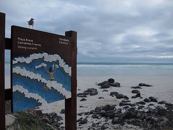 IMG_7048.jpg IMG_7048.jpg