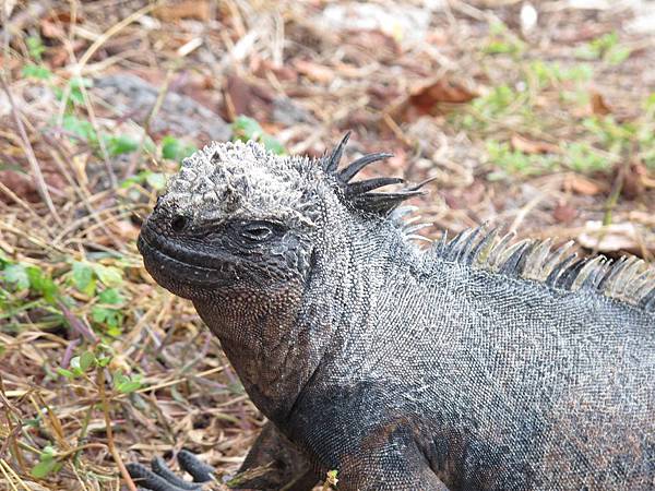 IMG_7030.jpg IMG_7030.jpg