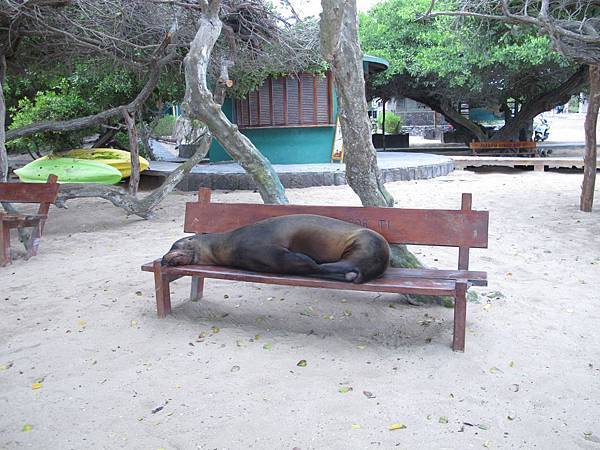 IMG_6988.jpg IMG_6988.jpg