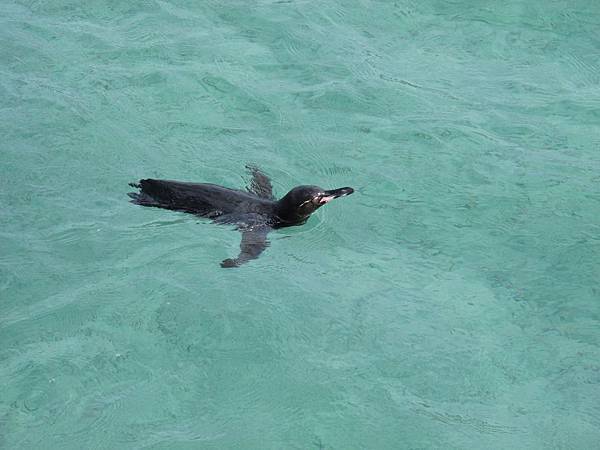 IMG_6924.jpg IMG_6924.jpg