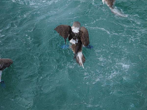 IMG_6927.jpg IMG_6927.jpg