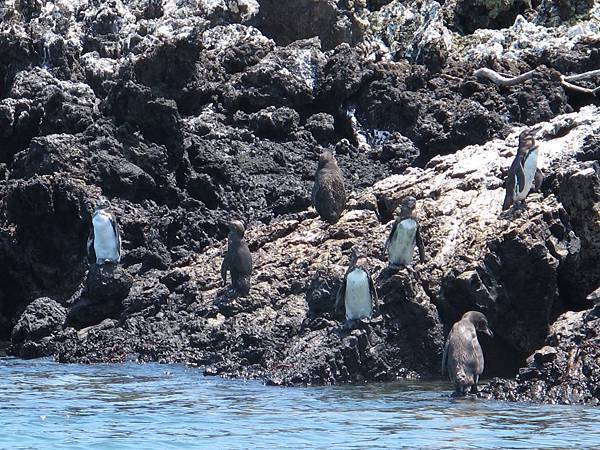 IMG_6943.jpg IMG_6943.jpg