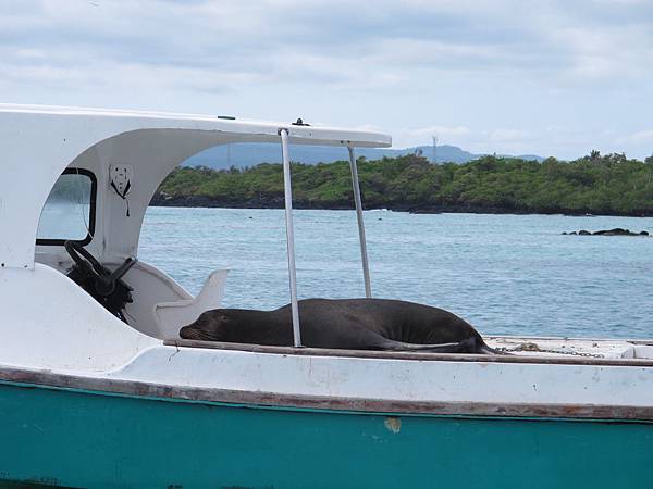 IMG_6954.jpg IMG_6954.jpg