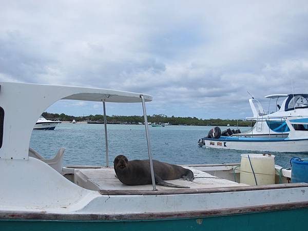 IMG_6955.jpg IMG_6955.jpg