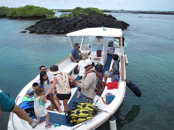 IMG_6982.jpg IMG_6982.jpg