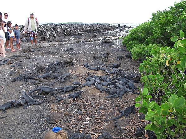 IMG_6974.jpg IMG_6974.jpg