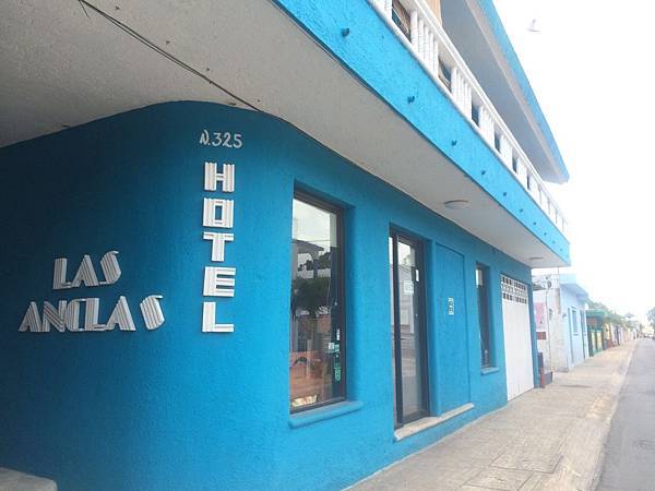 IMG_3782.jpg IMG_3782.jpg