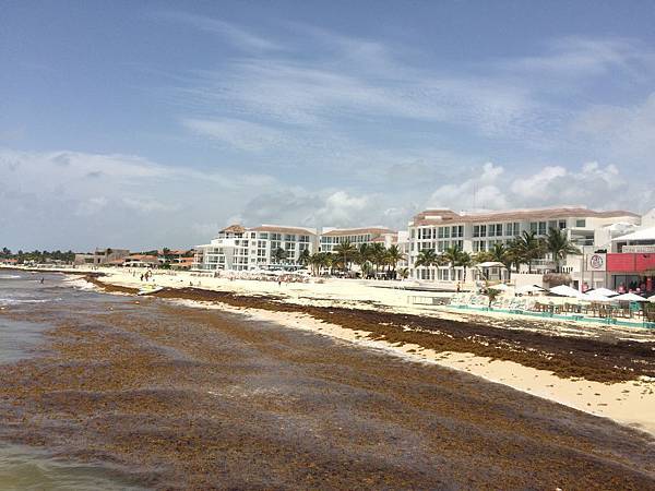 IMG_3767.jpg IMG_3767.jpg