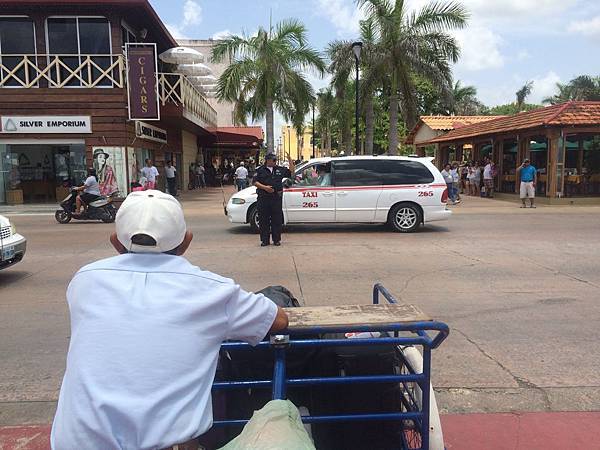 IMG_3778.jpg IMG_3778.jpg