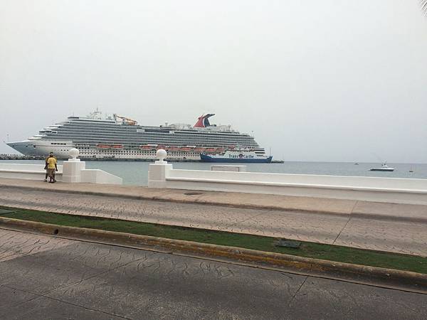 IMG_3823.jpg IMG_3823.jpg