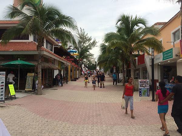 IMG_3853.jpg IMG_3853.jpg