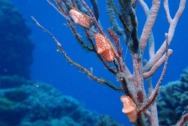 P6200348.JPG P6200348.JPG