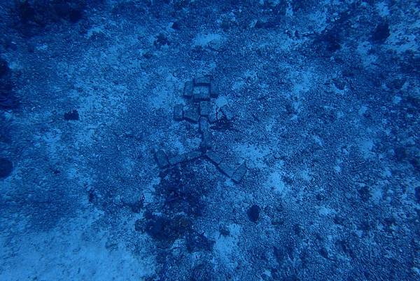 P6210376.JPG P6210376.JPG