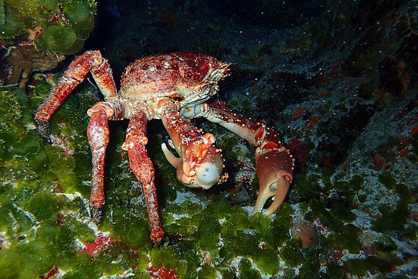 P6210383.JPG P6210383.JPG