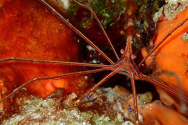 P6210395.JPG P6210395.JPG