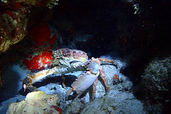 P6210444.JPG P6210444.JPG