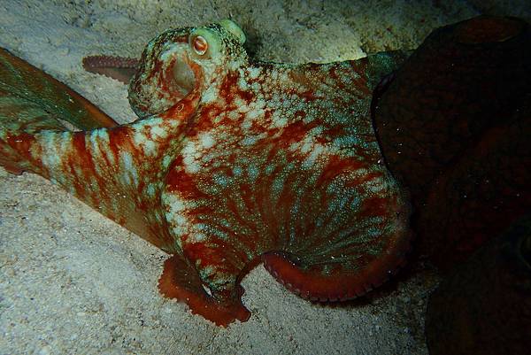 P6210466.JPG P6210466.JPG