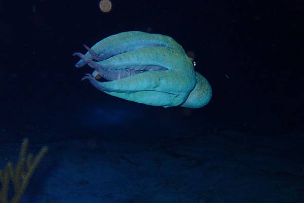 P6210468.JPG P6210468.JPG